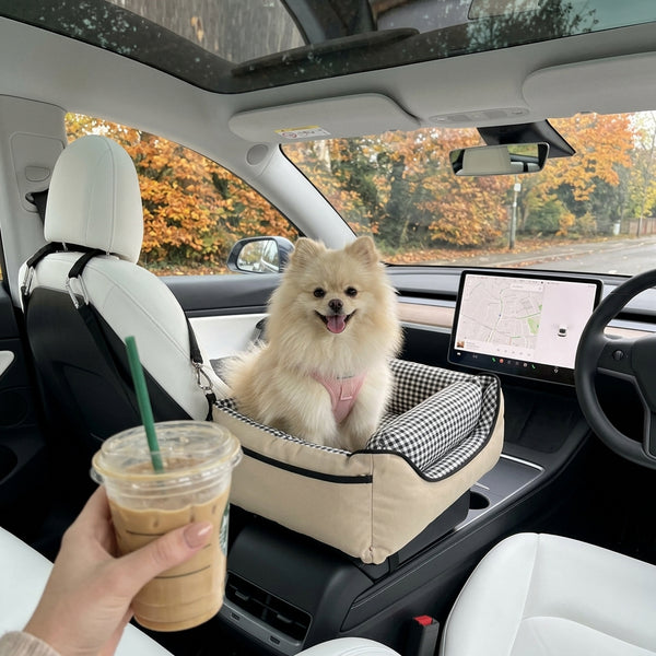 Savannah J.
